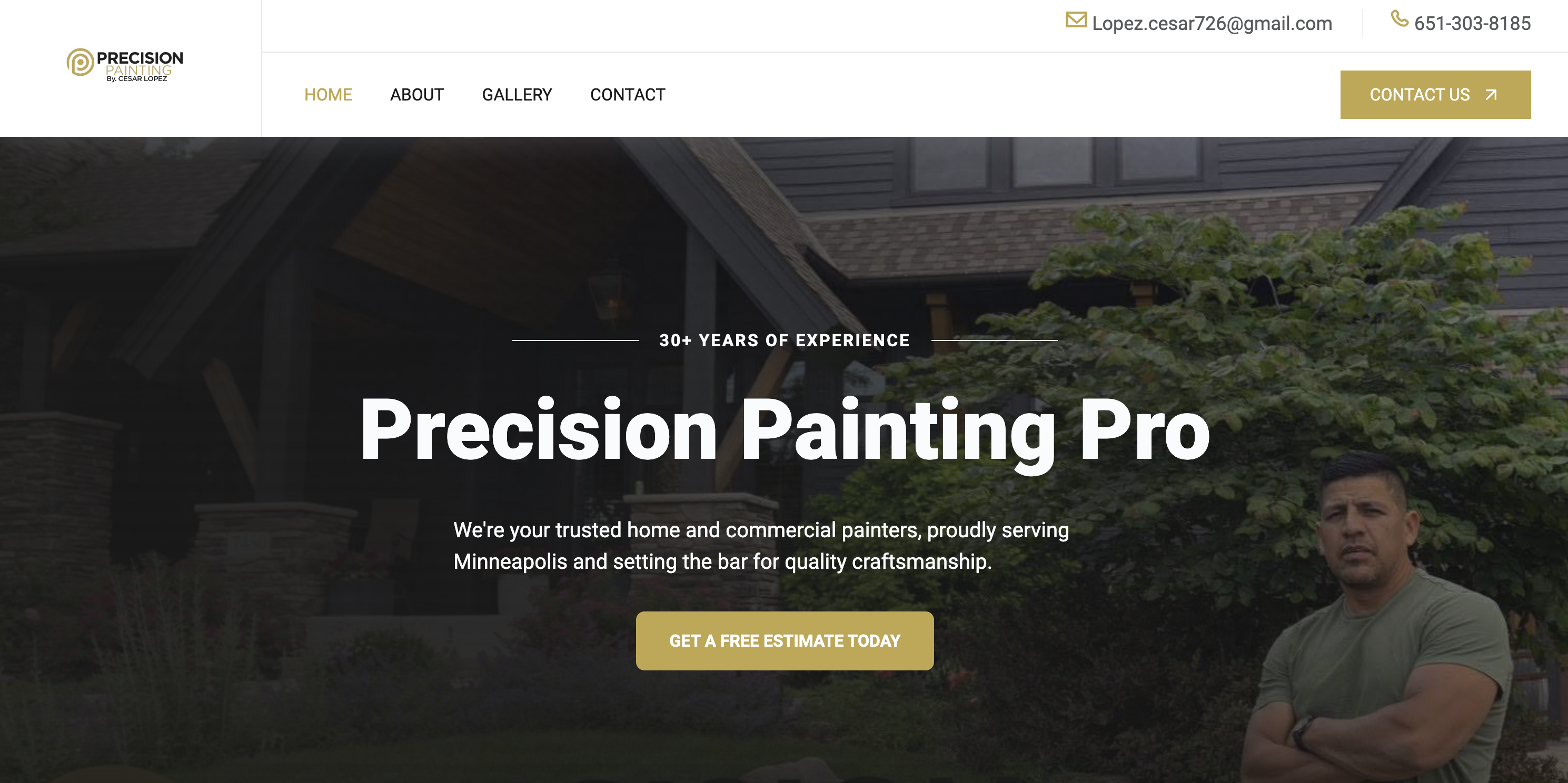Precision Painting Pro website